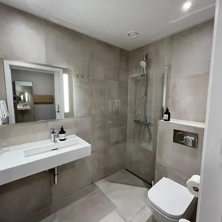 فندق Vingsted & Konferencecenter 3*