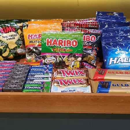 Vingsted & Konferencecenter فندق