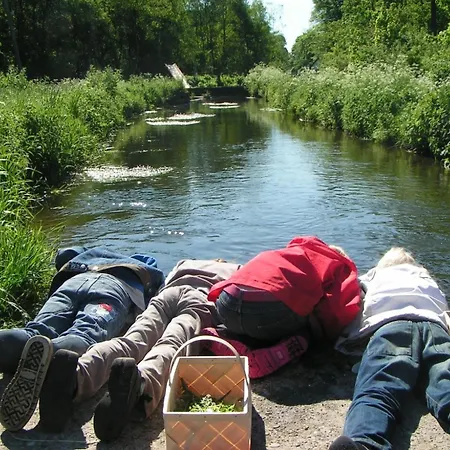 فندق Vingsted & Konferencecenter Bredsten (Velje)