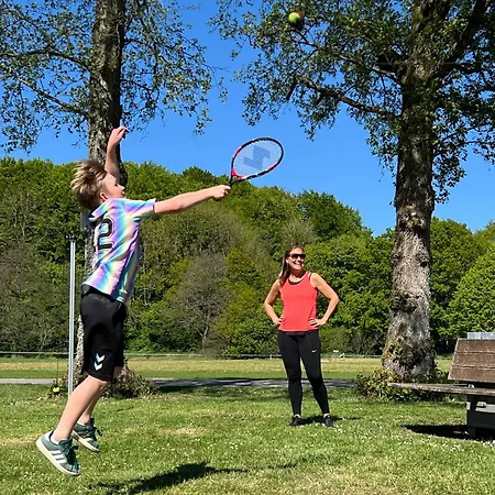 فندق Vingsted & Konferencecenter 3*